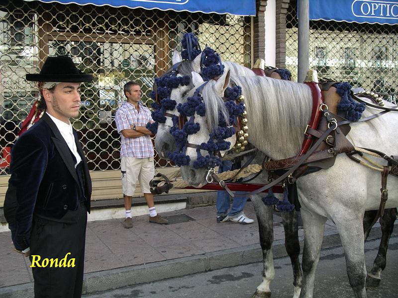 Andalusie 2008 195.jpg